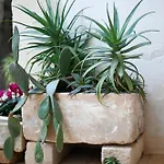 公寓 Dimora San Vito Lequile