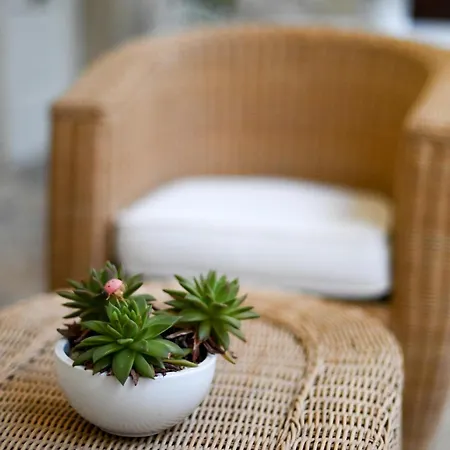 Dimora S.vito * Lequile