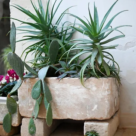 Apartamento Dimora S.vito Lequile