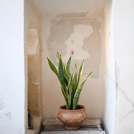 公寓 Dimora San Vito *