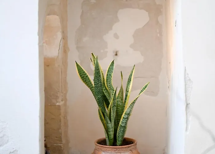 Dimora San Vito * Lequile