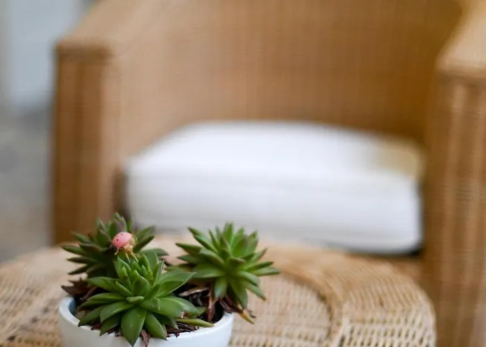 Dimora San Vito * Lequile